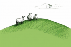 johannes.wessels_minimalistic_hand_drawing_of_three_sheeps_on_t_0f6f1dbb-f827-494e-ab2d-10e8b27fb97b