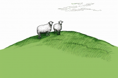 johannes.wessels_minimalistic_hand_drawing_of_three_sheeps_on_t_1c8267ac-079e-43da-83bd-9812c1c6f8cb