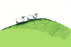 johannes.wessels_minimalistic_hand_drawing_of_three_sheeps_on_t_412e54ef-214f-4f47-9132-fee331ce69cb