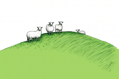 johannes.wessels_minimalistic_hand_drawing_of_three_sheeps_on_t_c5729998-284b-4294-9217-3fd72ad6ad92